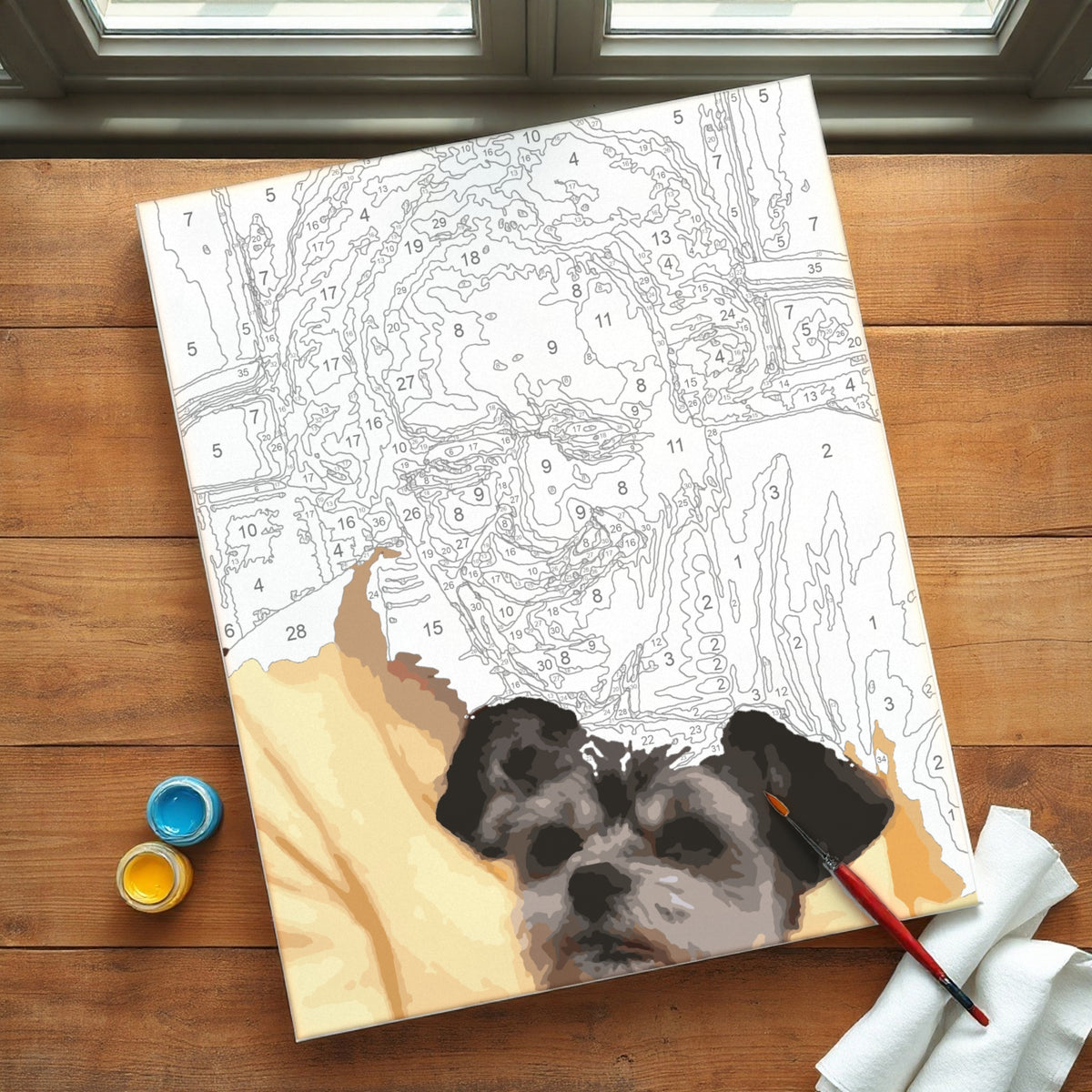Paint by Numbers | 